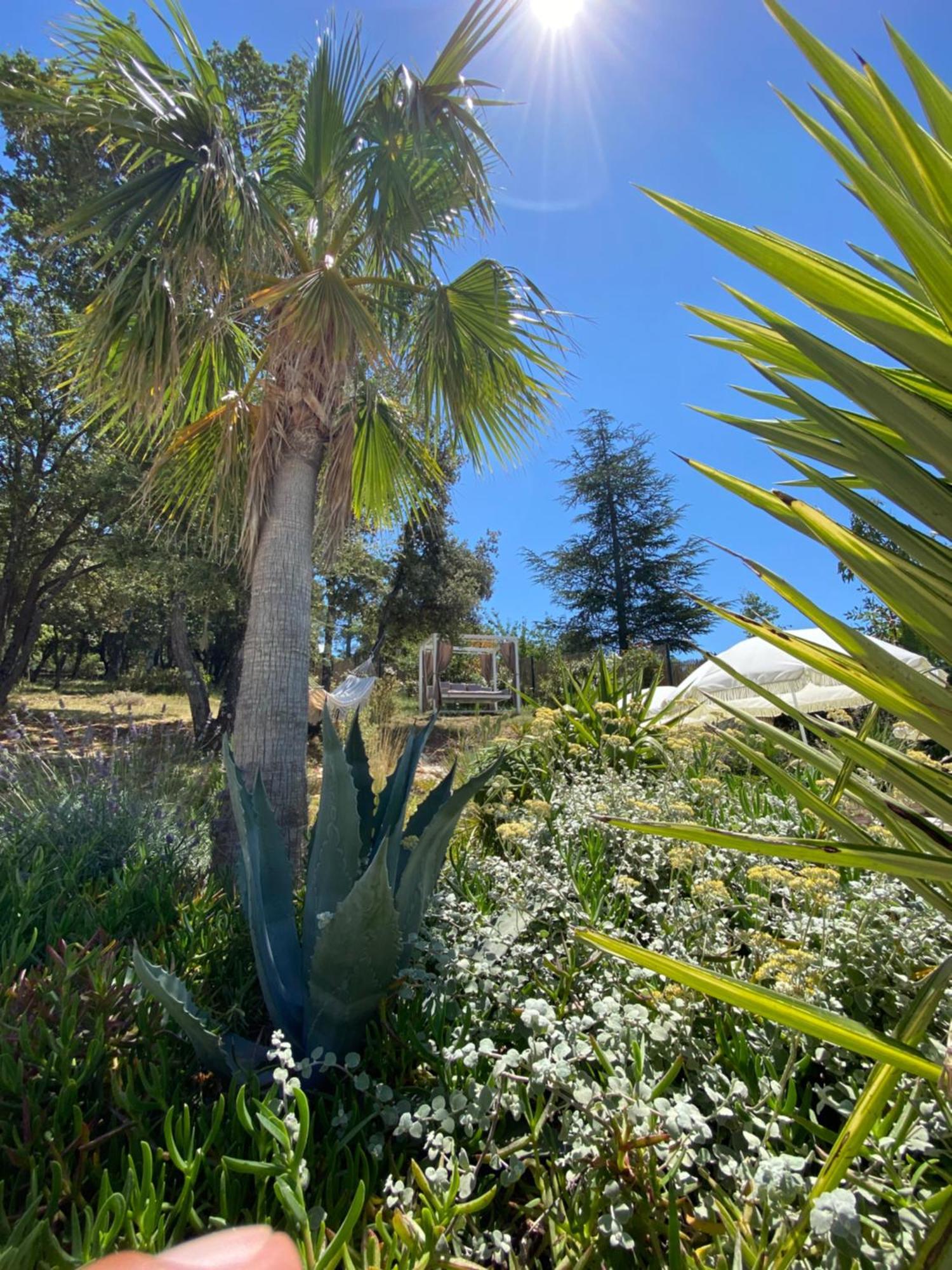 Villa Alba En Provence Besse-sur-Issole ภายนอก รูปภาพ